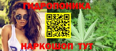 крисы Тулун