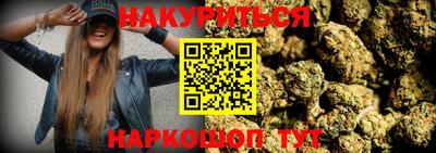 крисы Тулун