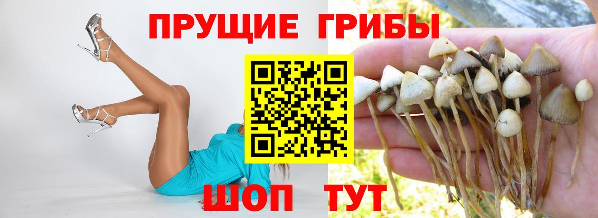 Галлюциногенные грибы мухоморы Богданович